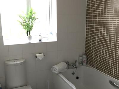 Picture 21